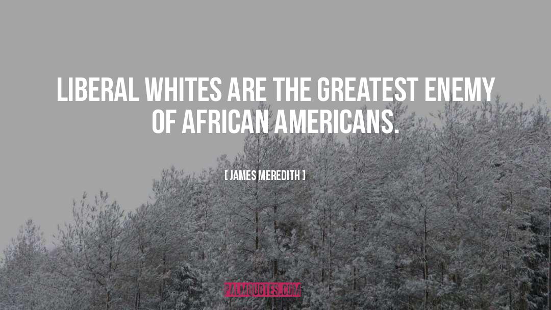 James Meredith Quotes: Liberal whites are the greatest