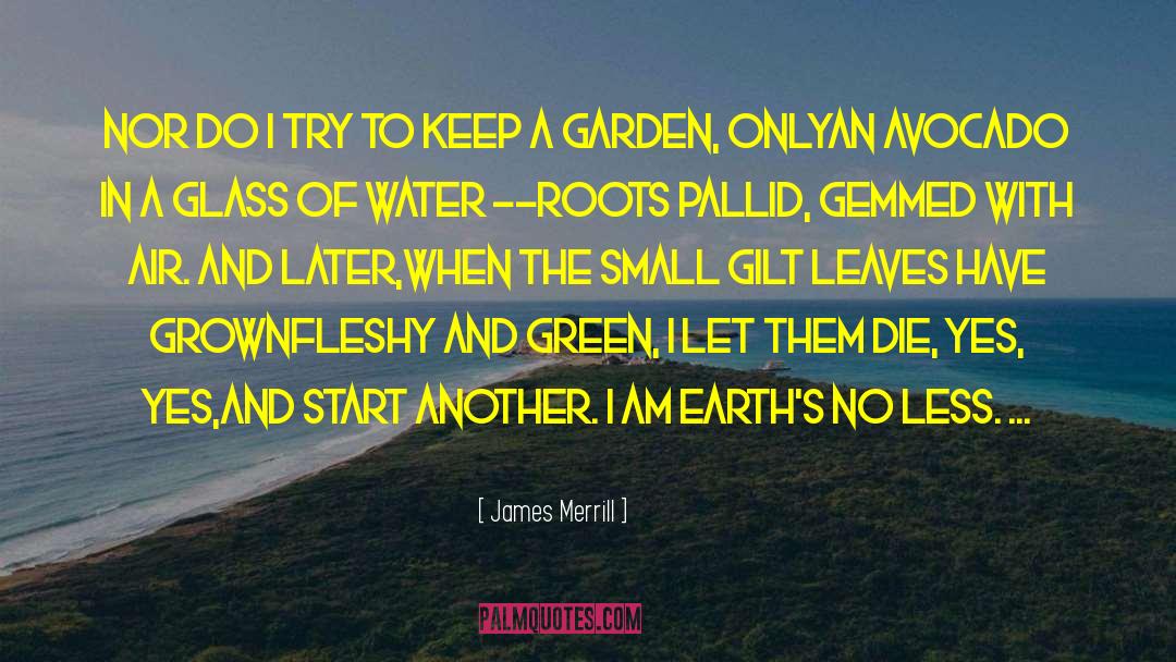 James Merrill Quotes: Nor do I try to