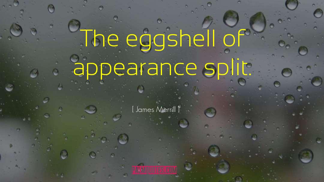 James Merrill Quotes: The eggshell of appearance split.
