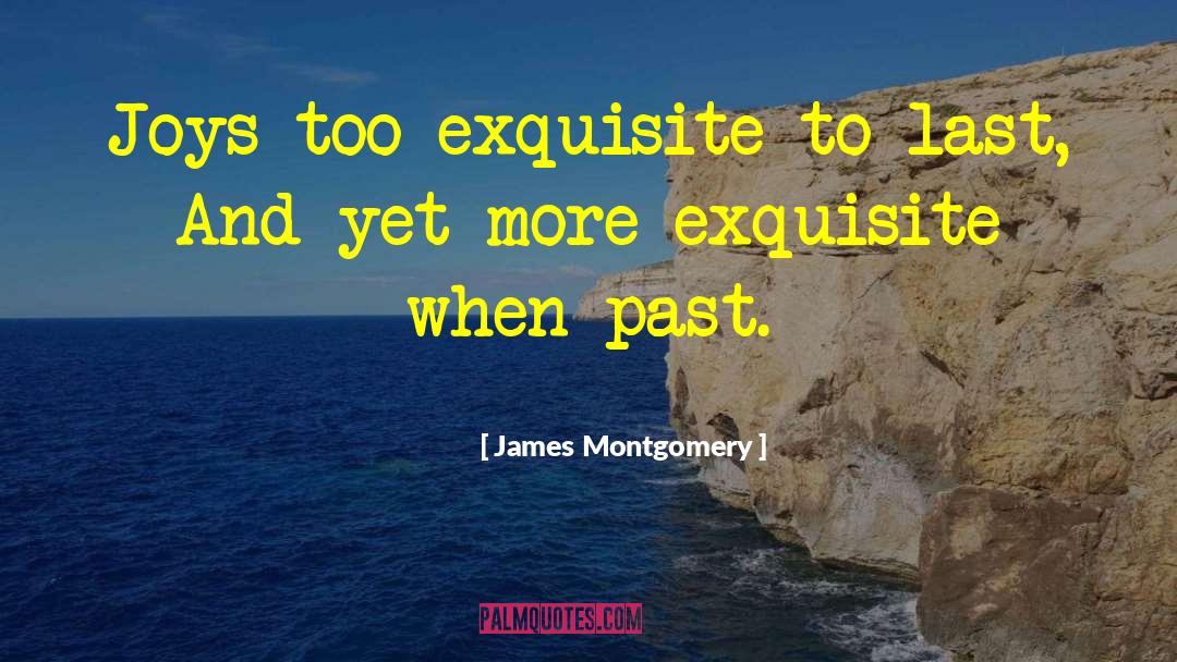 James Montgomery Quotes: Joys too exquisite to last,