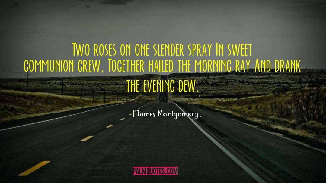 James Montgomery Quotes: Two roses on one slender