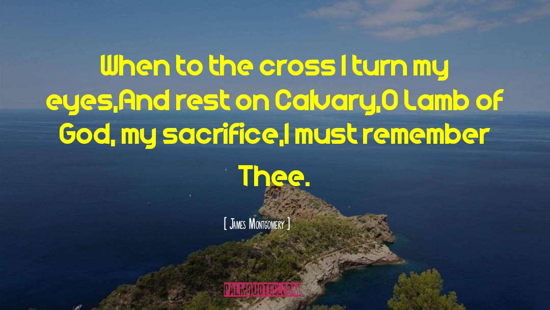 James Montgomery Quotes: When to the cross I