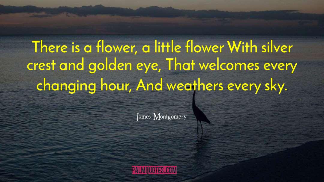 James Montgomery Quotes: There is a flower, a