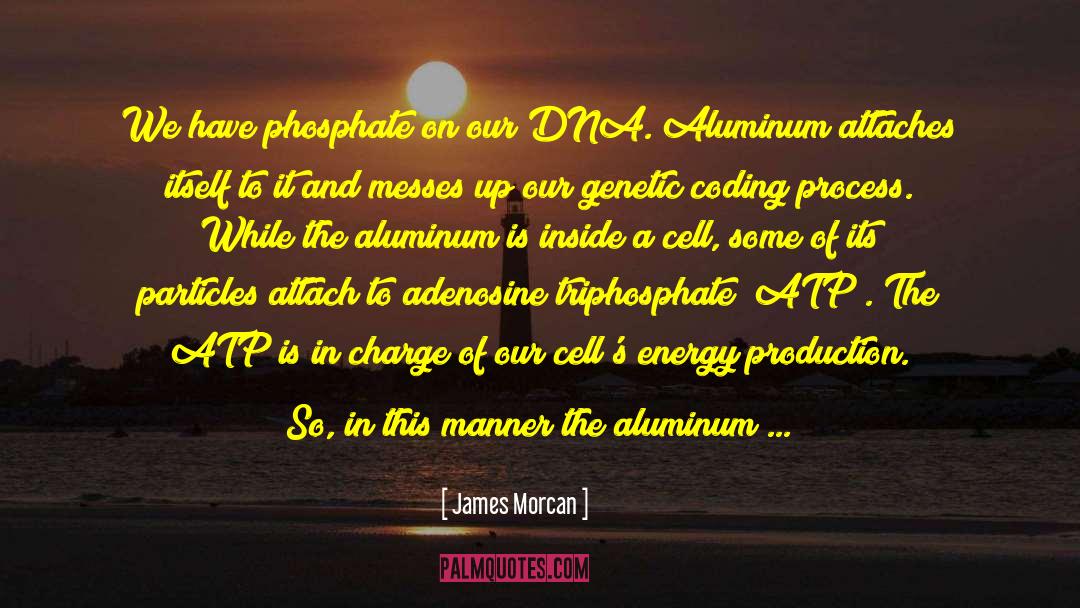 James Morcan Quotes: We have phosphate on our