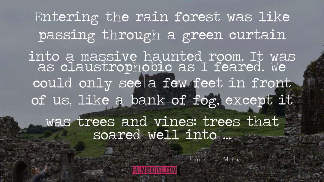 James       Morris Quotes: Entering the rain forest was