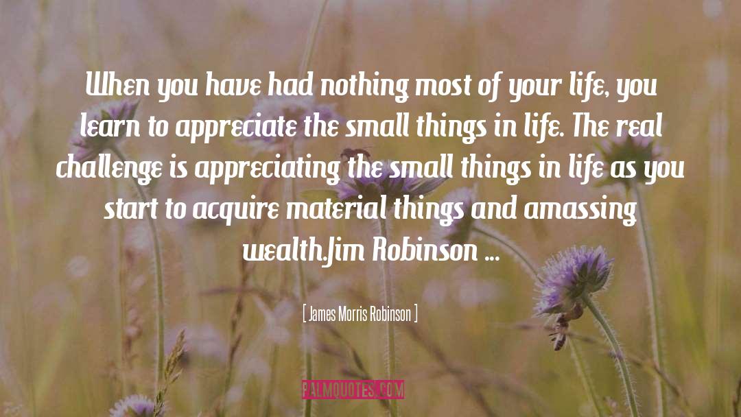 James Morris Robinson Quotes: When you have had nothing