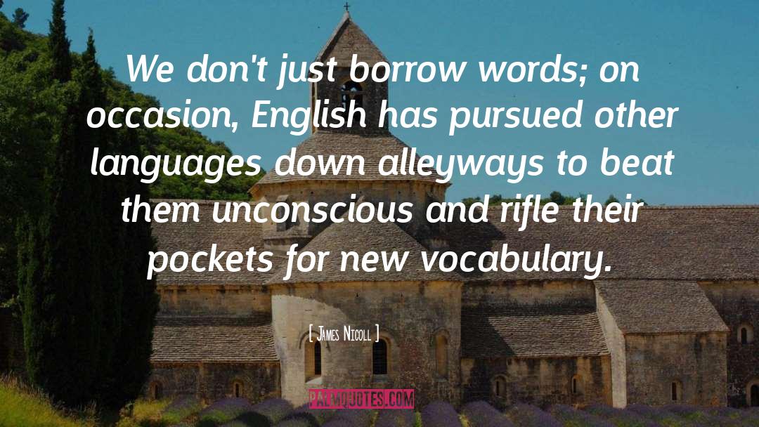 James Nicoll Quotes: We don't just borrow words;