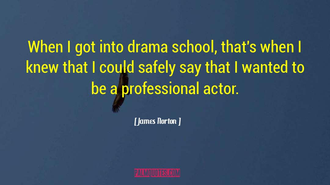 James Norton Quotes: When I got into drama