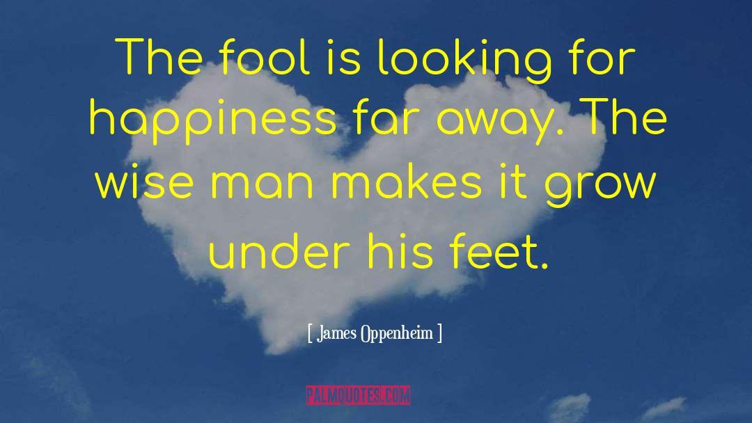 James Oppenheim Quotes: The fool is looking for