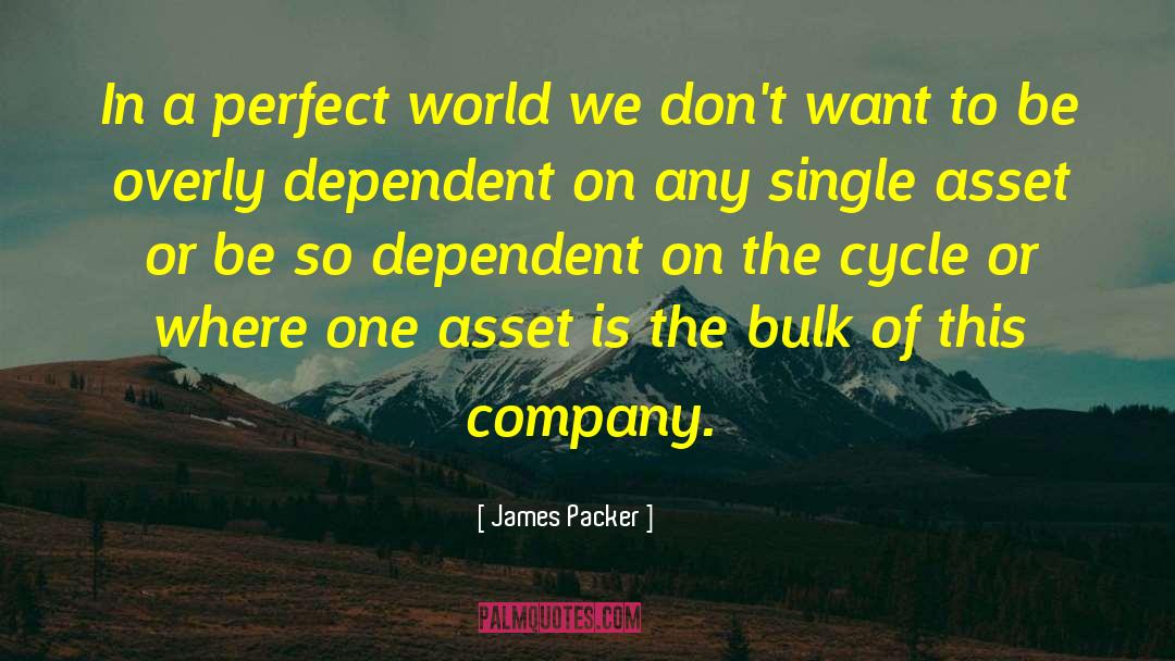 James Packer Quotes: In a perfect world we