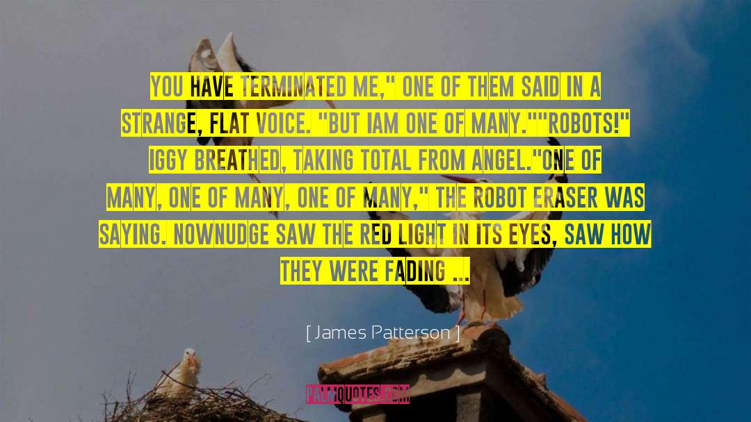 James Patterson Quotes: You have terminated me,