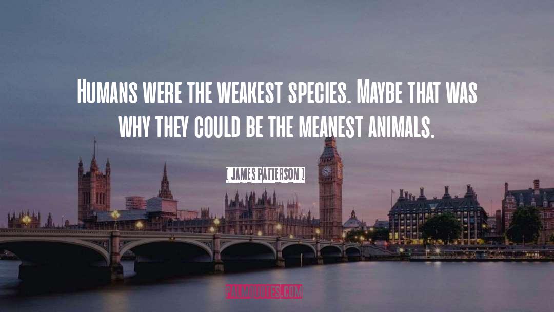 James Patterson Quotes: Humans were the weakest species.