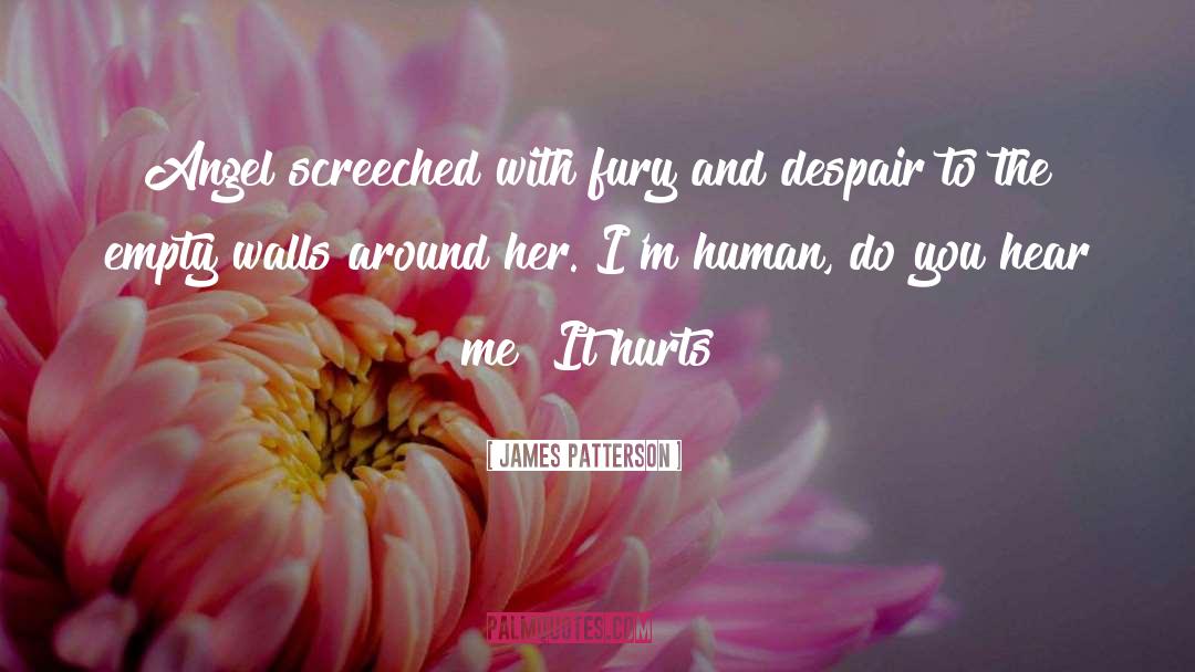 James Patterson Quotes: Angel screeched with fury and