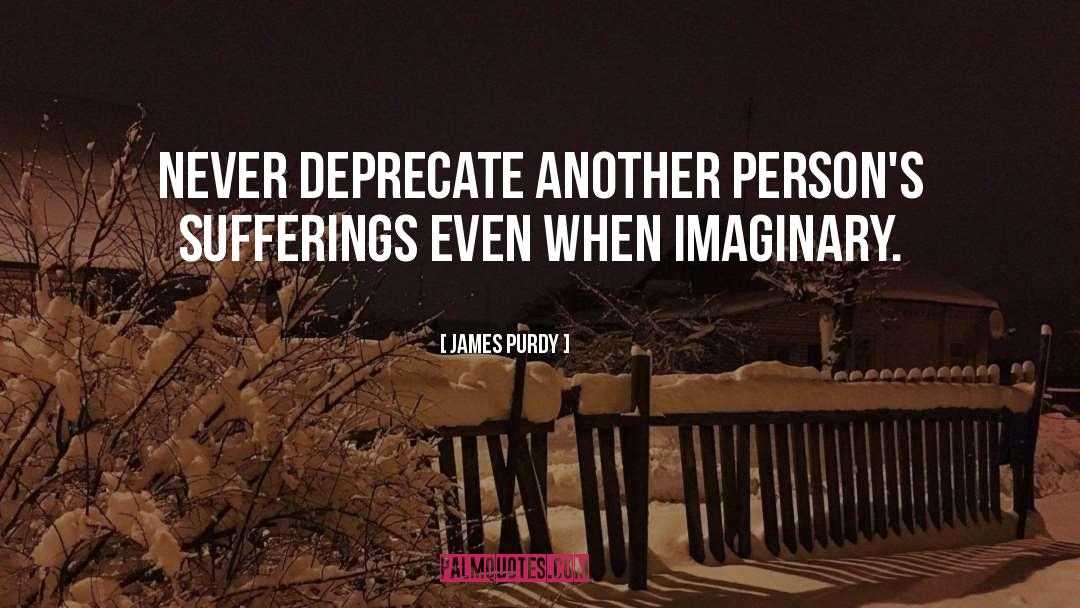 James Purdy Quotes: Never deprecate another person's sufferings