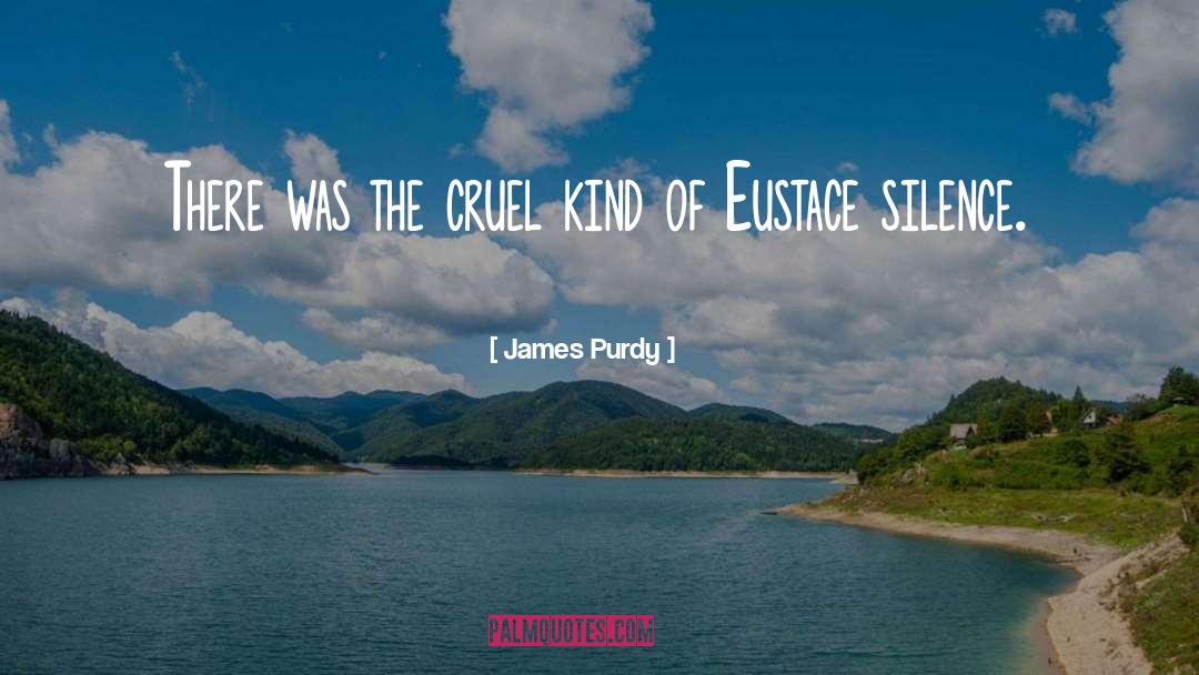 James Purdy Quotes: There was the cruel kind