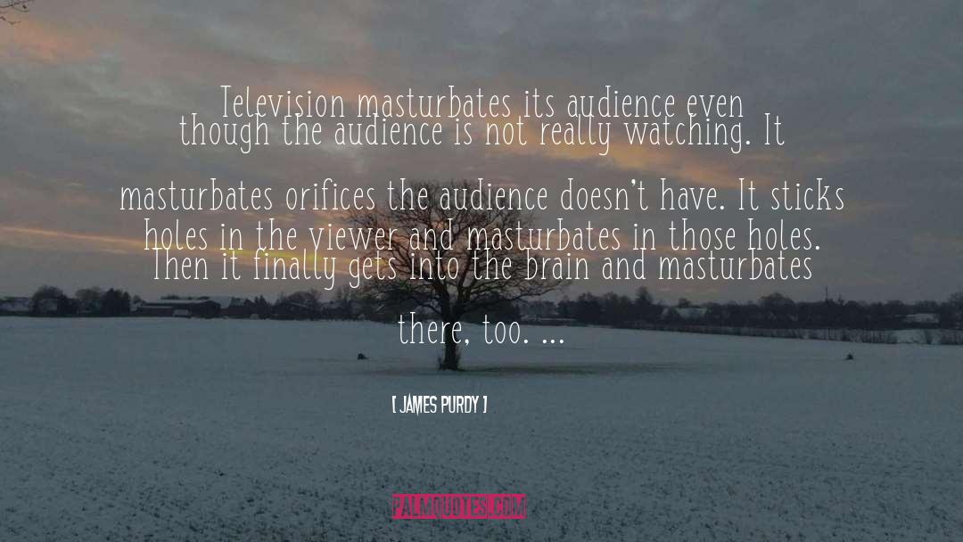 James Purdy Quotes: Television masturbates its audience even