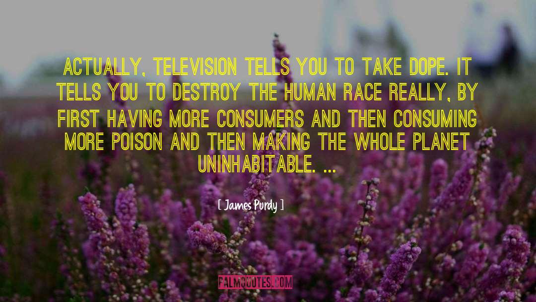 James Purdy Quotes: Actually, television tells you to