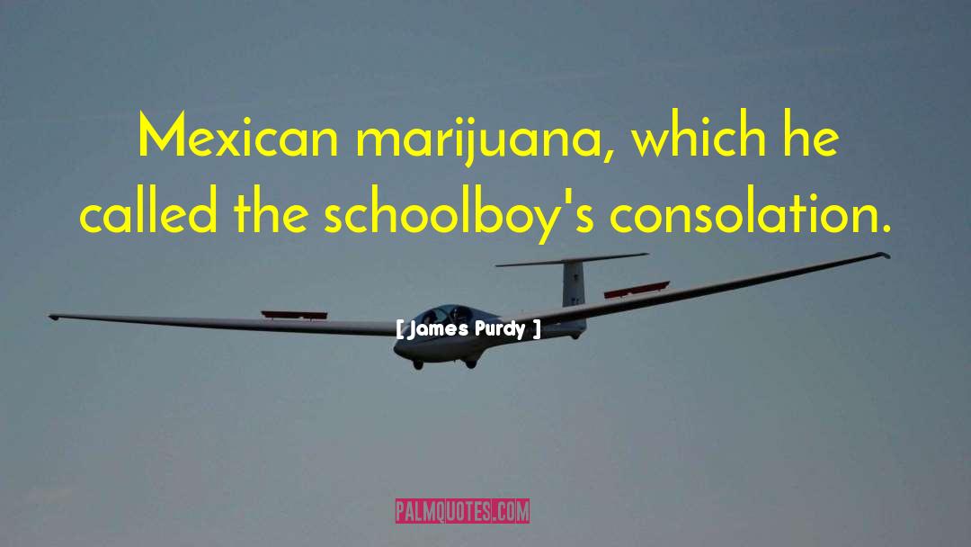 James Purdy Quotes: Mexican marijuana, which he called