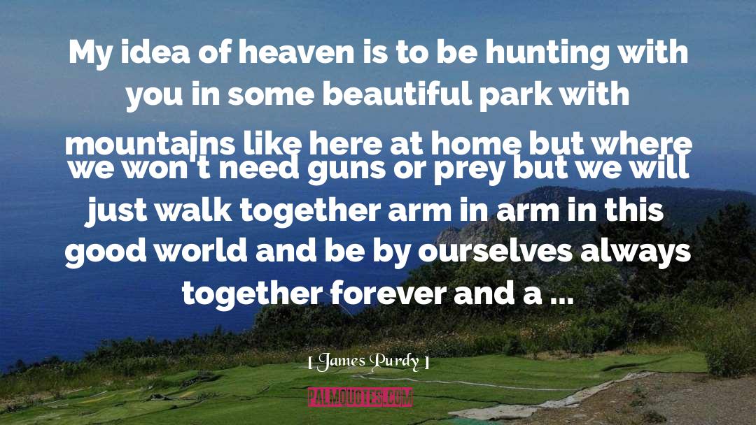 James Purdy Quotes: My idea of heaven is