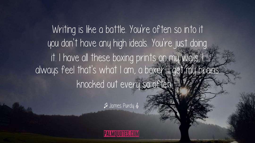 James Purdy Quotes: Writing is like a battle.