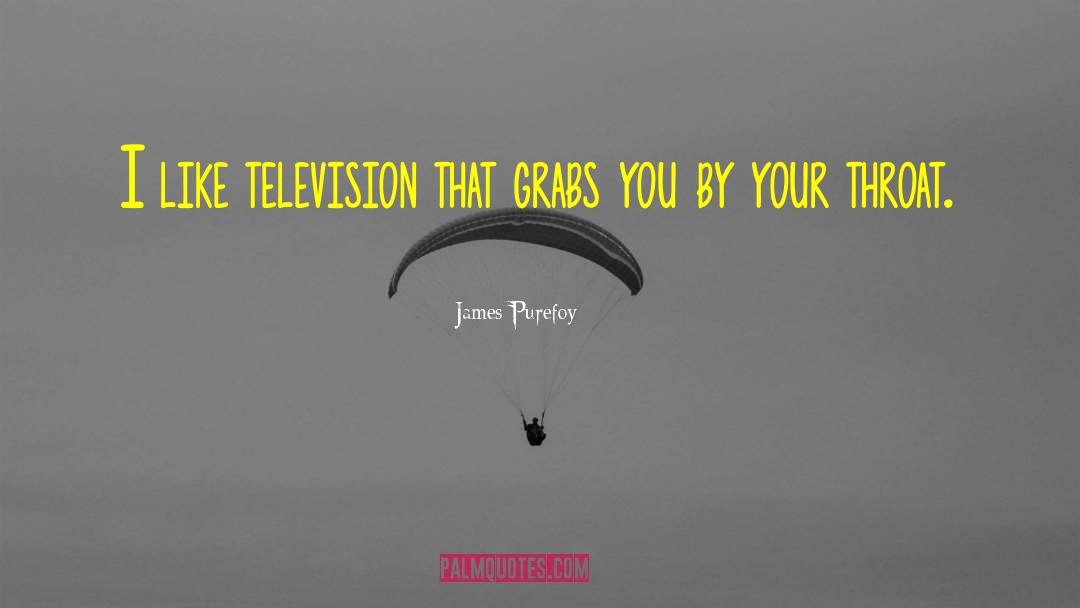 James Purefoy Quotes: I like television that grabs