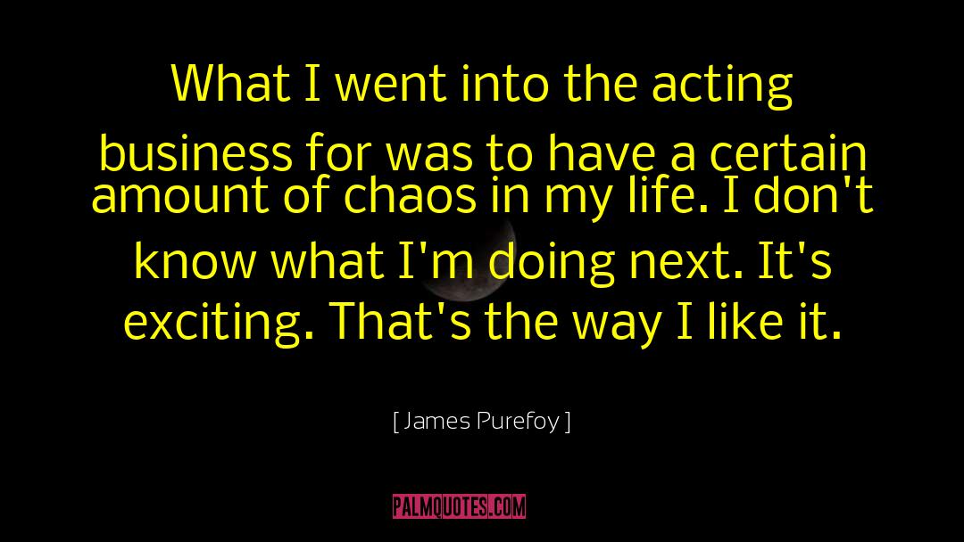 James Purefoy Quotes: What I went into the