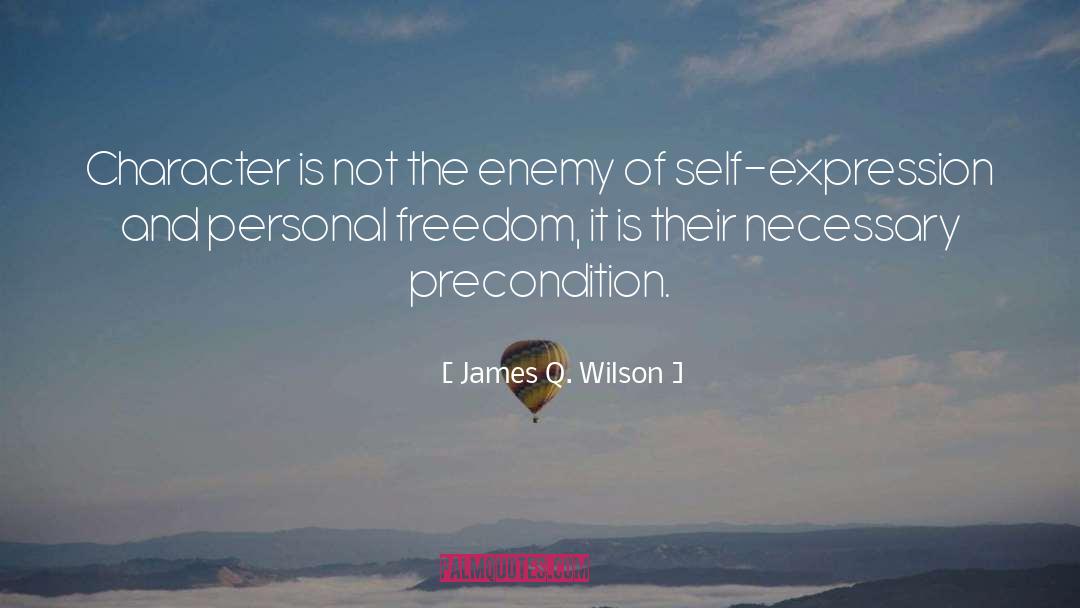 James Q. Wilson Quotes: Character is not the enemy