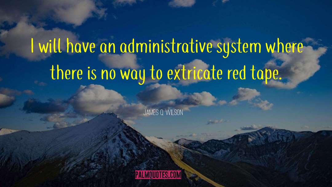 James Q. Wilson Quotes: I will have an administrative