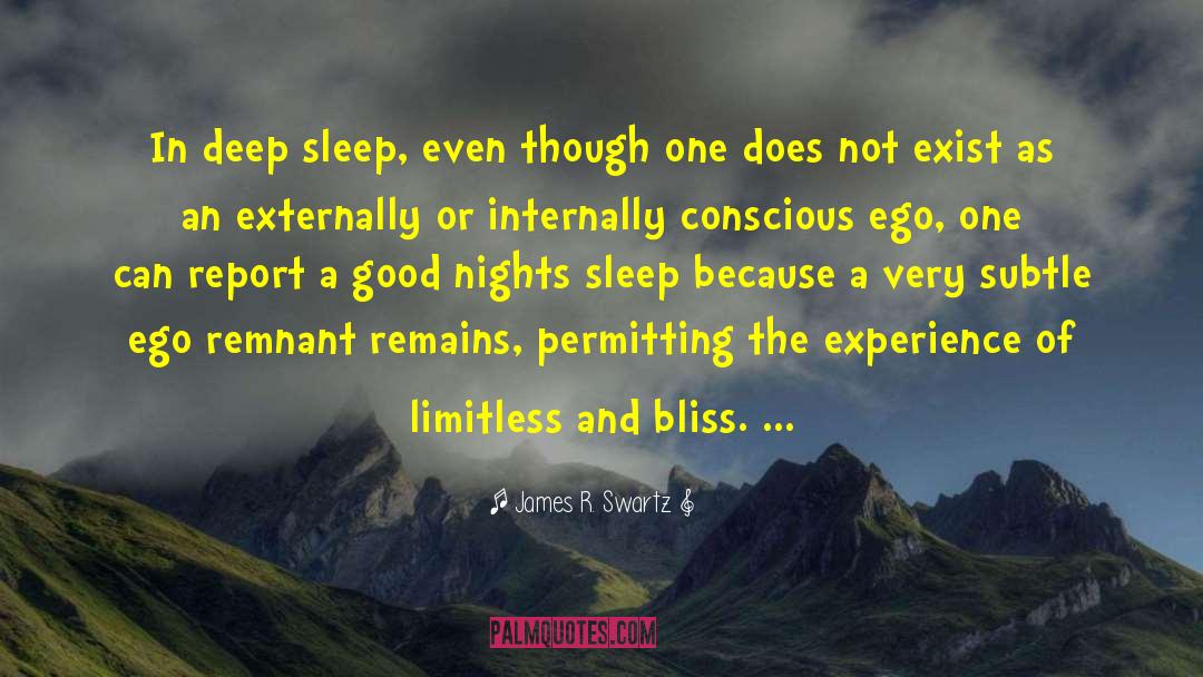 James R. Swartz Quotes: In deep sleep, even though