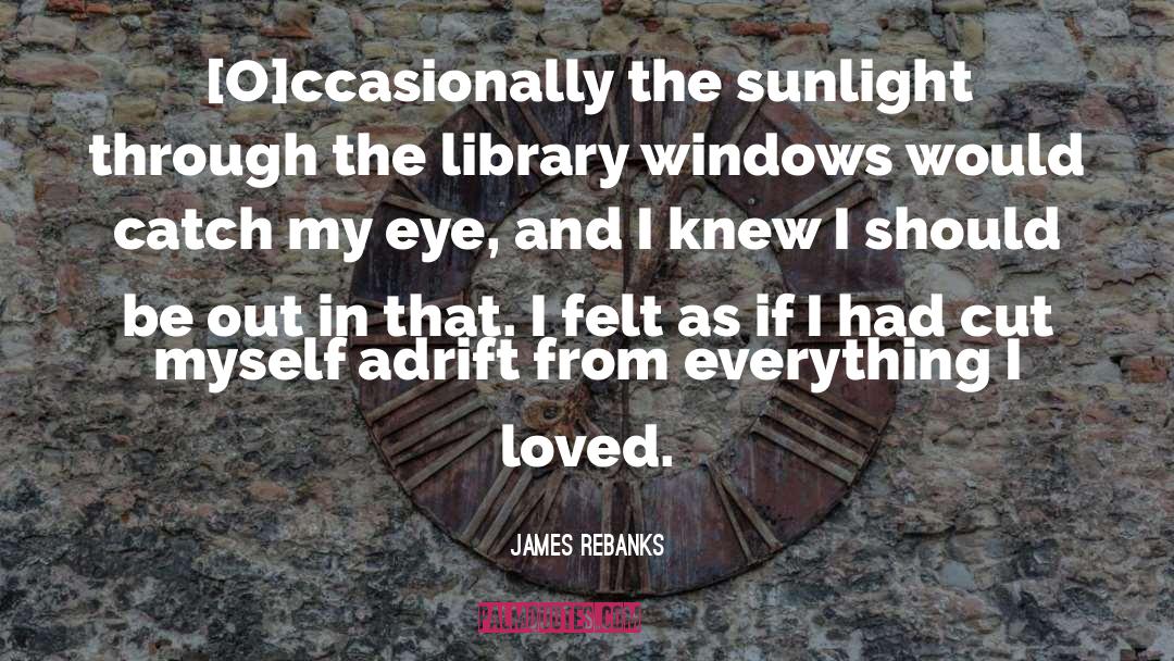 James Rebanks Quotes: [O]ccasionally the sunlight through the