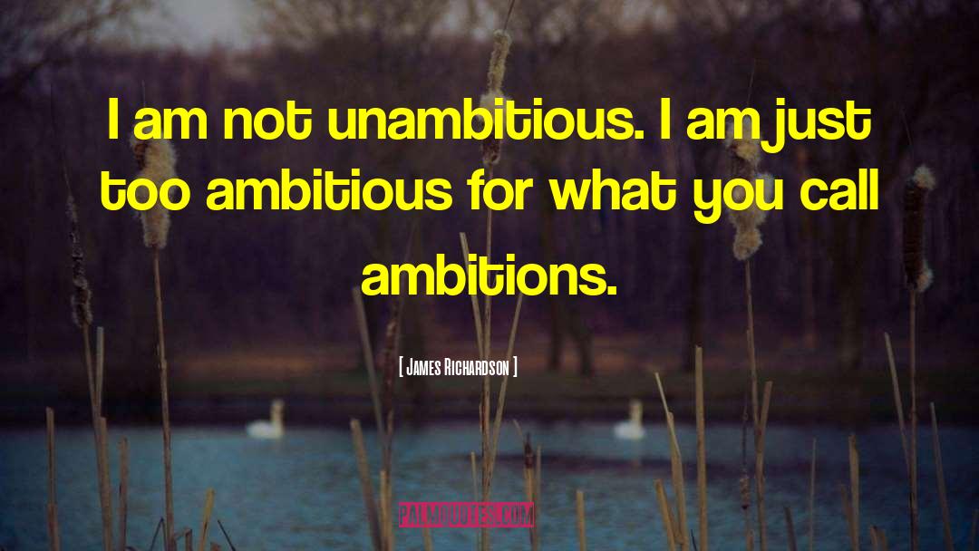 James Richardson Quotes: I am not unambitious. I