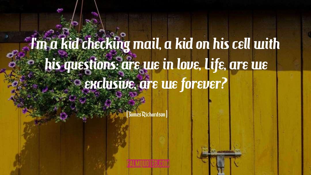 James Richardson Quotes: I'm a kid checking mail,