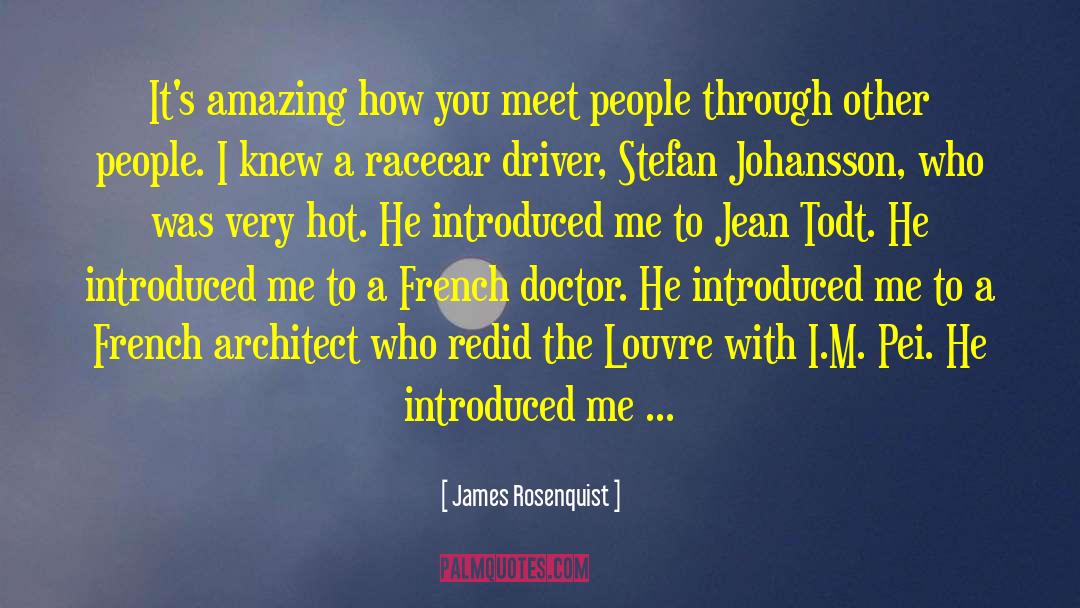 James Rosenquist Quotes: It's amazing how you meet