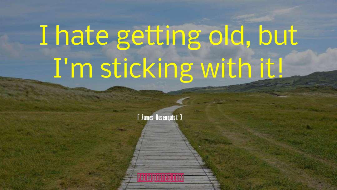 James Rosenquist Quotes: I hate getting old, but