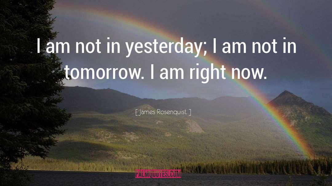 James Rosenquist Quotes: I am not in yesterday;