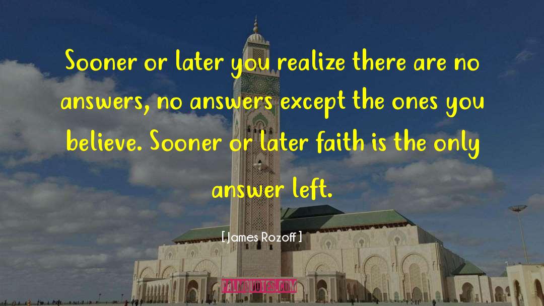 James Rozoff Quotes: Sooner or later you realize