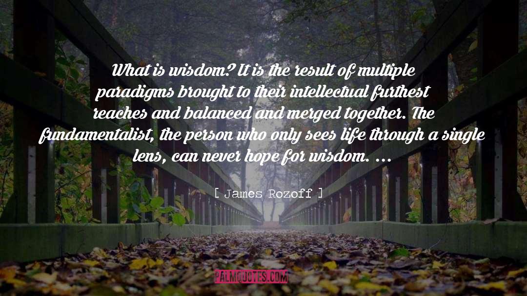 James Rozoff Quotes: What is wisdom? It is