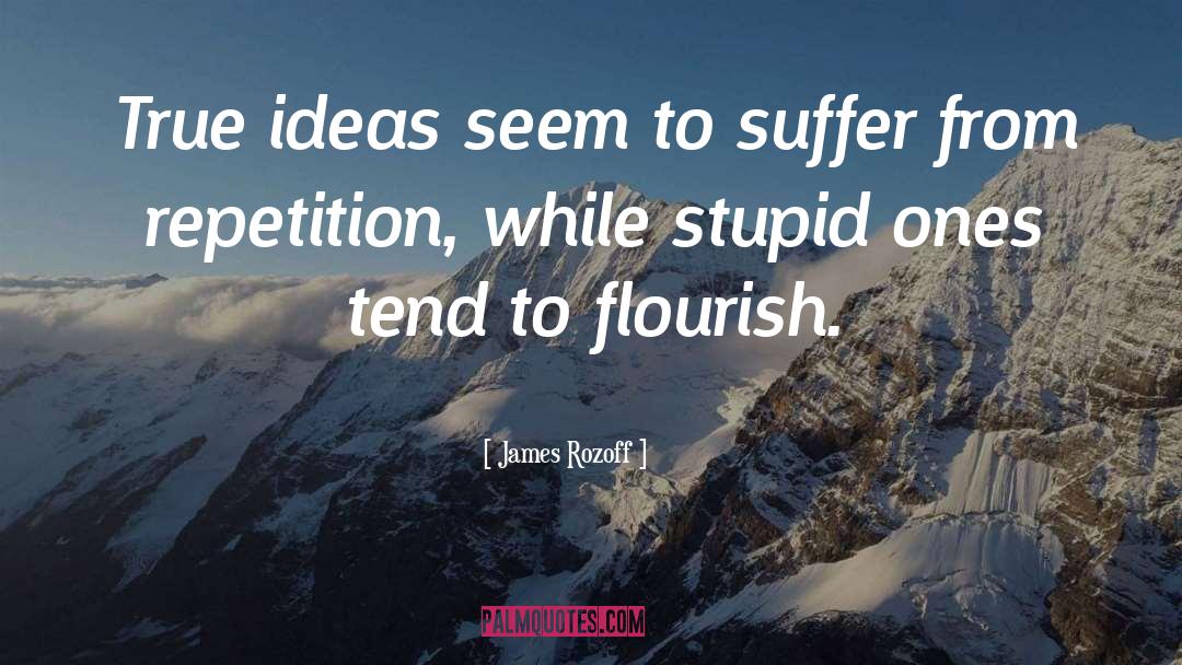 James Rozoff Quotes: True ideas seem to suffer