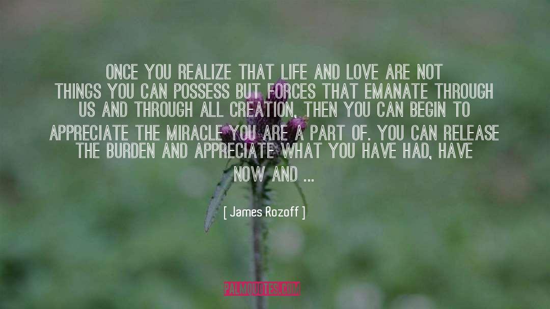James Rozoff Quotes: Once you realize that life