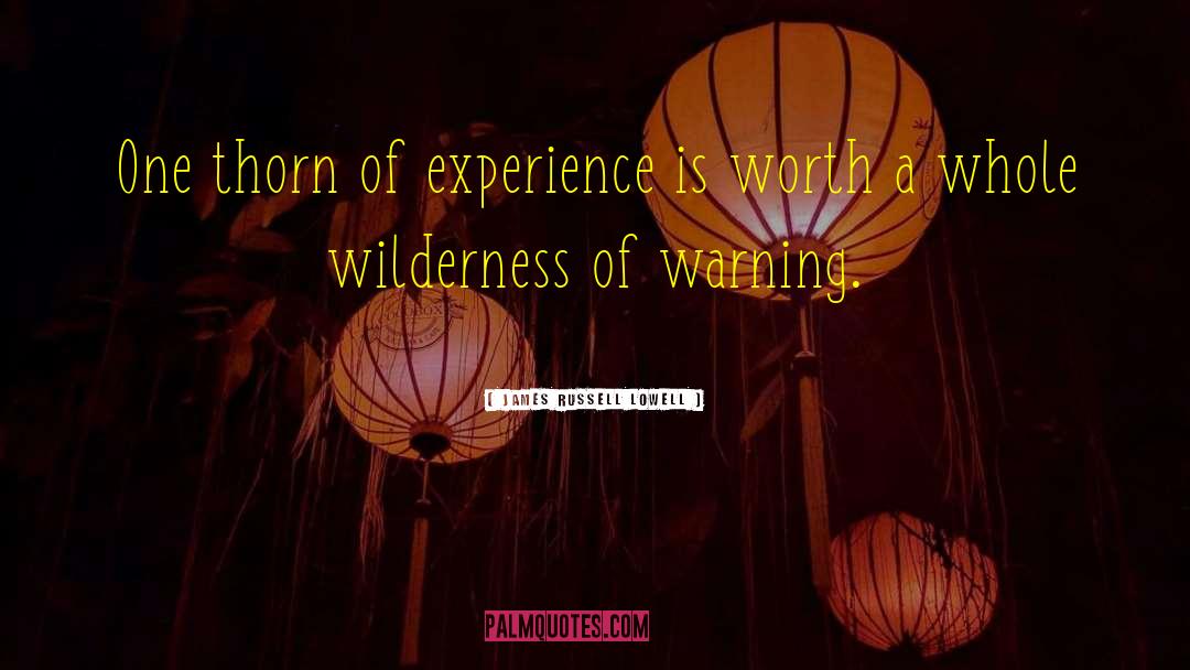 James Russell Lowell Quotes: One thorn of experience is