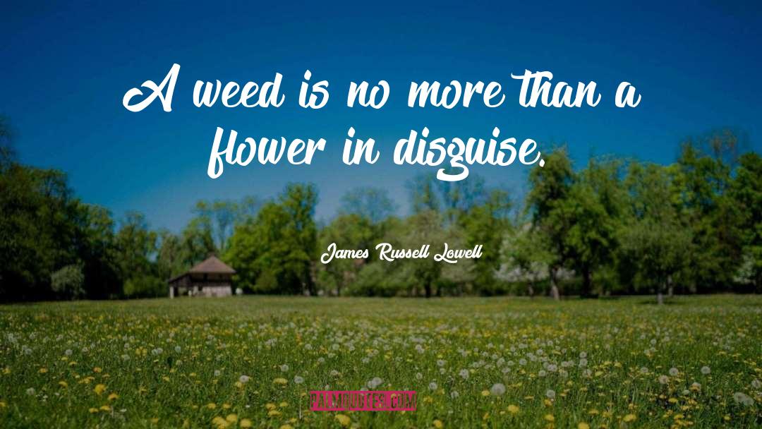 James Russell Lowell Quotes: A weed is no more