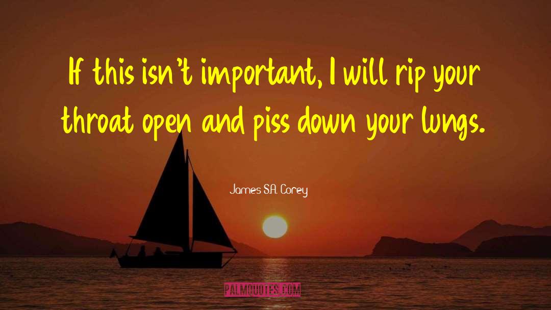 James S.A. Corey Quotes: If this isn't important, I