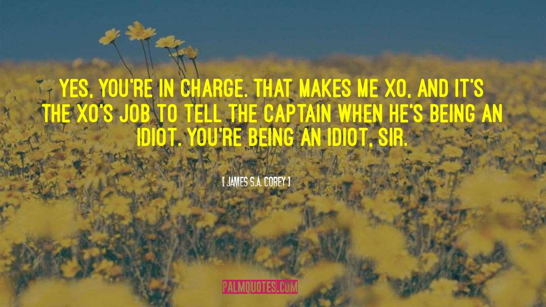 James S.A. Corey Quotes: Yes, you're in charge. That
