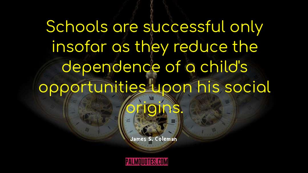 James S. Coleman Quotes: Schools are successful only insofar