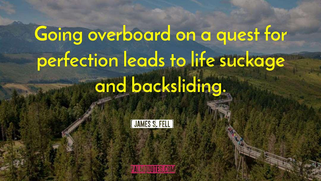 James S. Fell Quotes: Going overboard on a quest