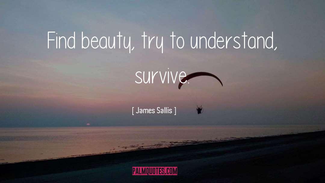 James Sallis Quotes: Find beauty, try to understand,