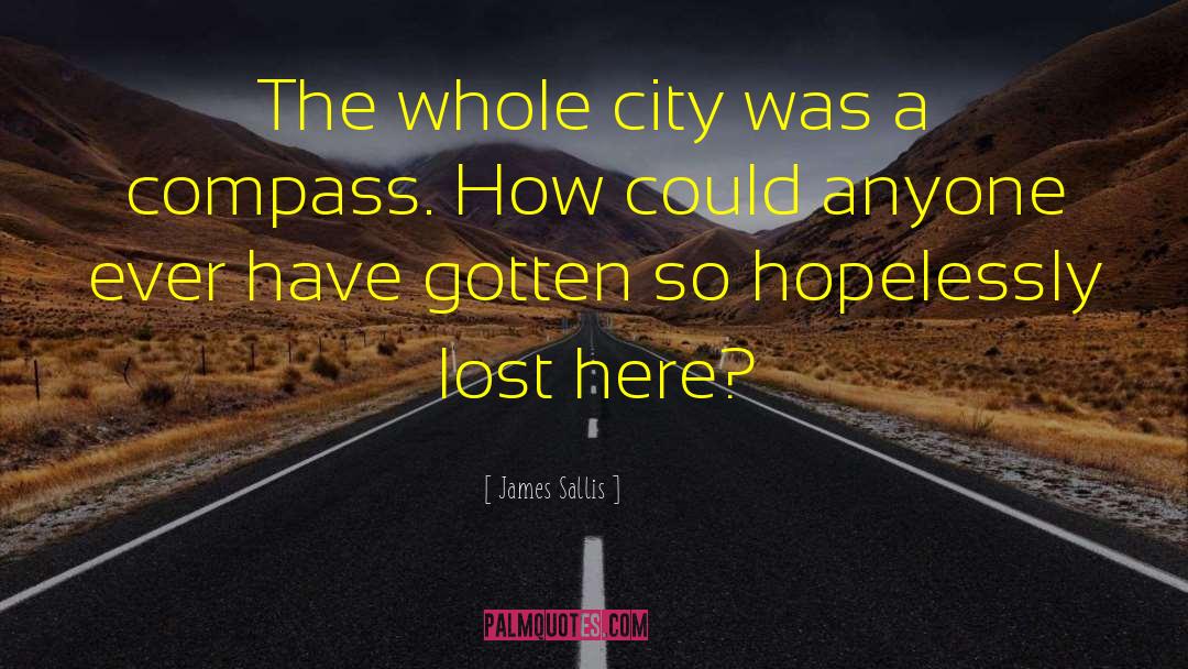 James Sallis Quotes: The whole city was a