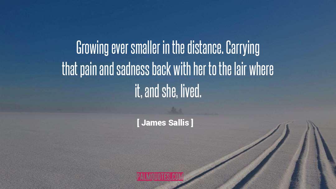 James Sallis Quotes: Growing ever smaller in the