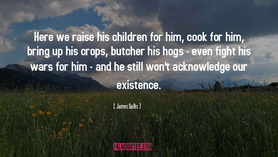 James Sallis Quotes: Here we raise his children