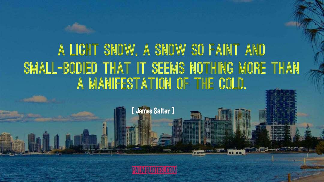 James Salter Quotes: A light snow, a snow